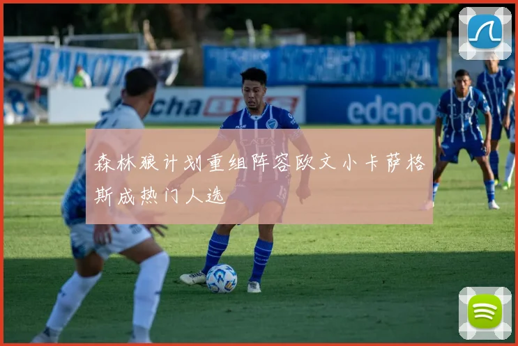 森林狼计划重组阵容欧文小卡萨格斯成热门人选