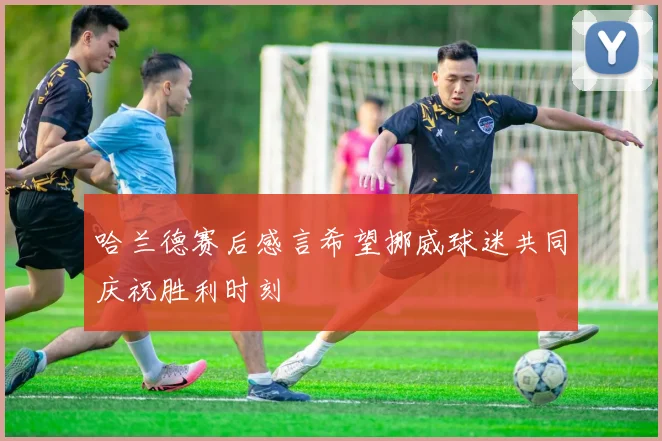 哈兰德赛后感言希望挪威球迷共同庆祝胜利时刻