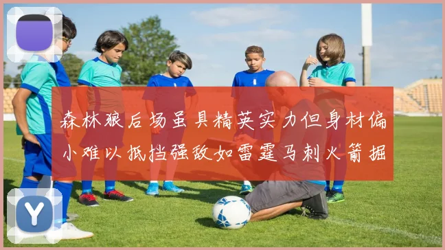 森林狼后场虽具精英实力但身材偏小难以抵挡强敌如雷霆马刺火箭掘金